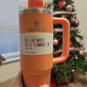 Coral stanley cup 30oz